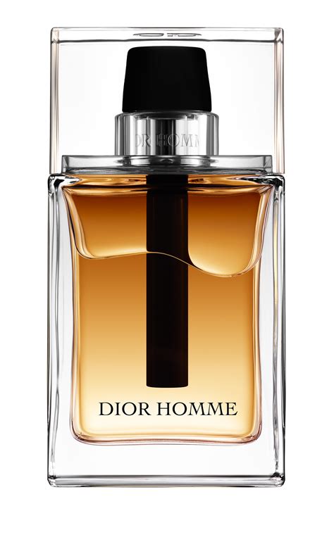 dior homme parfum 2019|christian dior homme original.